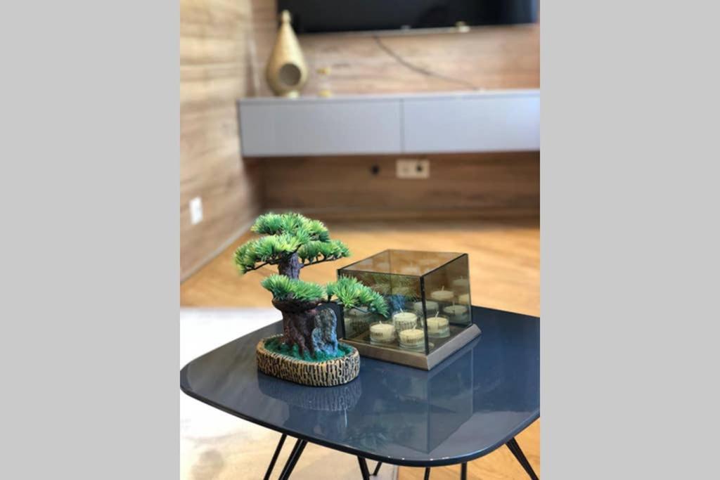 Zeus Design Apartments Schoenbrunn Viyana Dış mekan fotoğraf